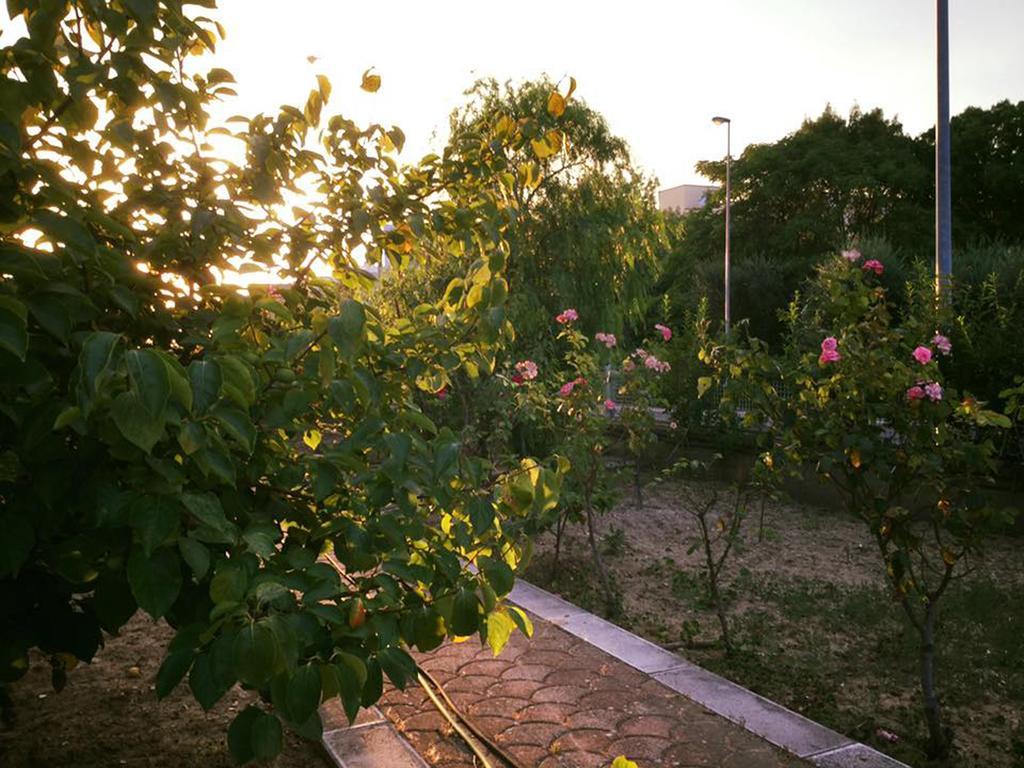 Bed and Breakfast Buon Vento Matera Zewnętrze zdjęcie